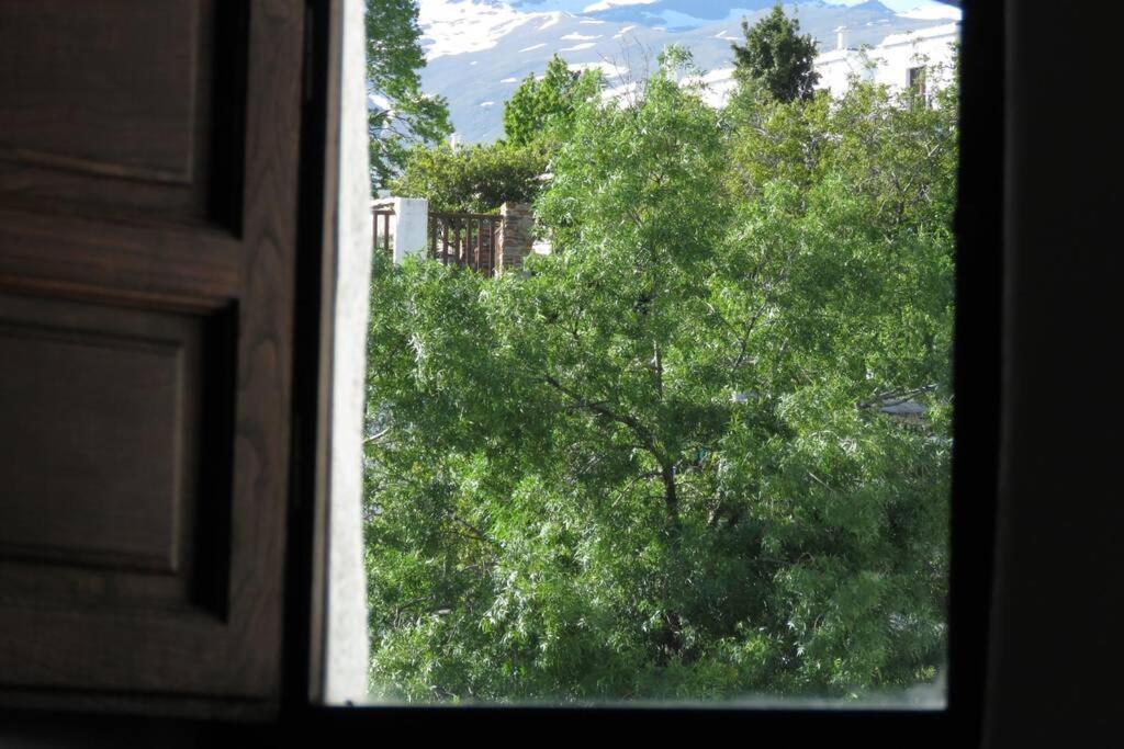 Casa La Solea. Vistas Al Pueblo Y La Sierra Villa Bubión Exteriör bild