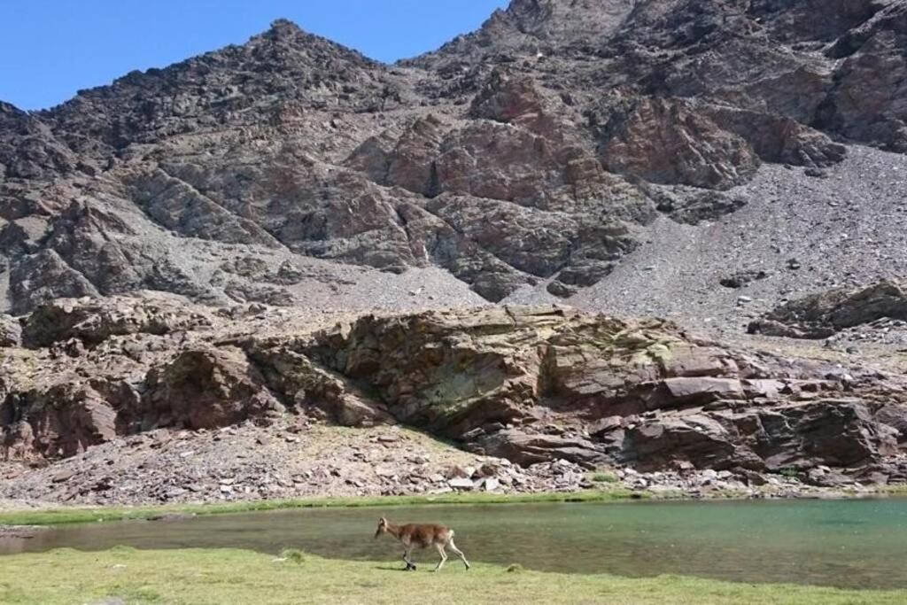 Casa La Solea. Vistas Al Pueblo Y La Sierra Villa Bubión Exteriör bild